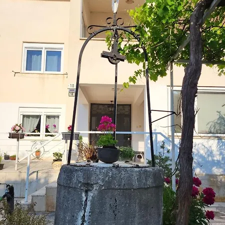 Salvia And *