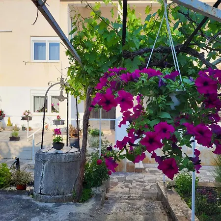 Salvia And
