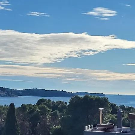 Salvia And Rovinj
