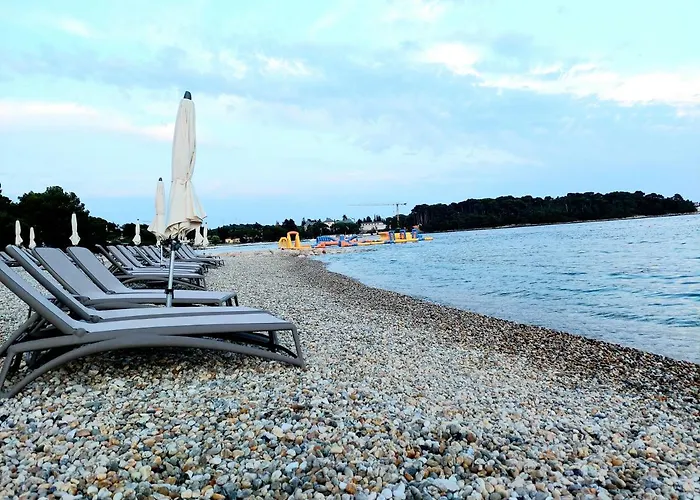 Salvia And 3* רוביני