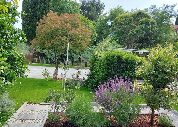 Salvia And בית הארחה רוביני