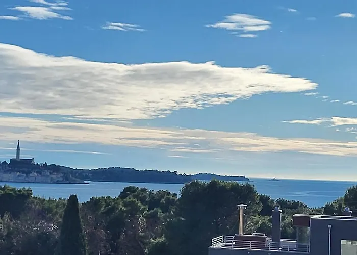 Salvia And רוביני