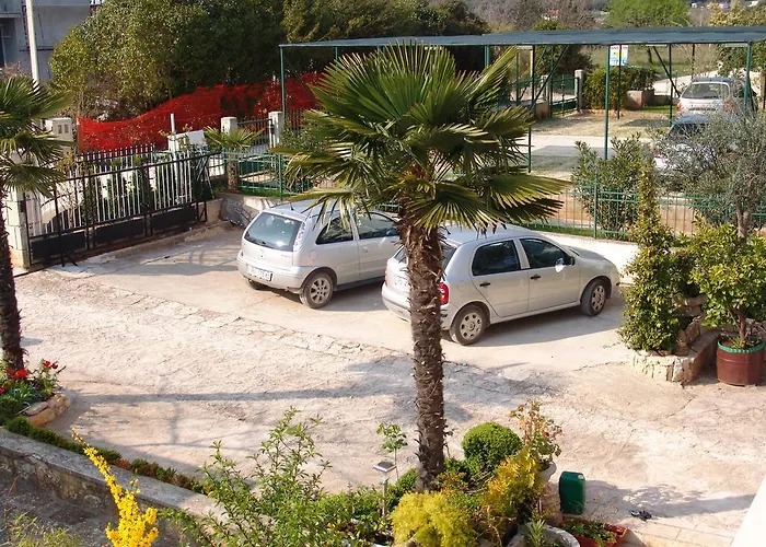 Salvia And רוביני