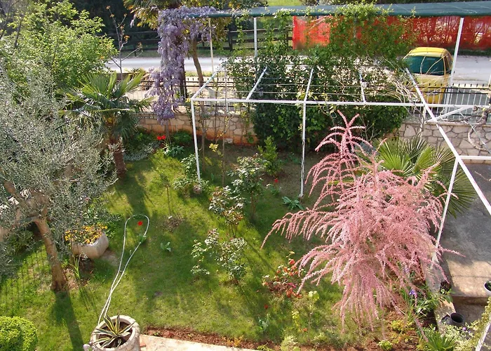 בית הארחה Salvia And